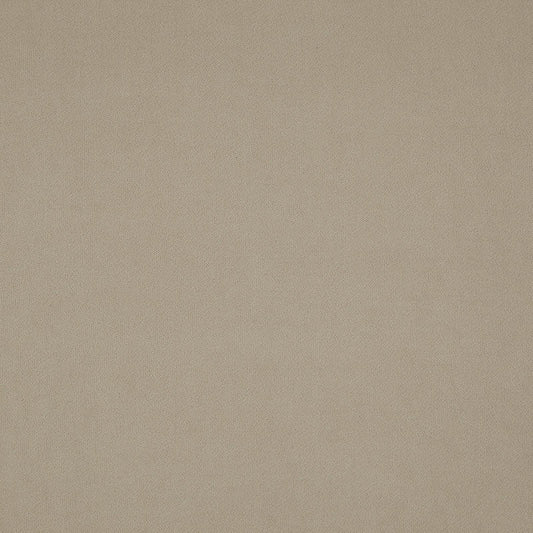 Caress light taupe