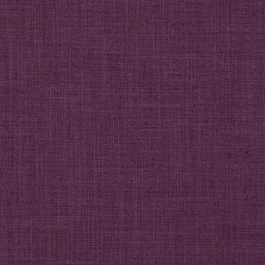 Grain purple