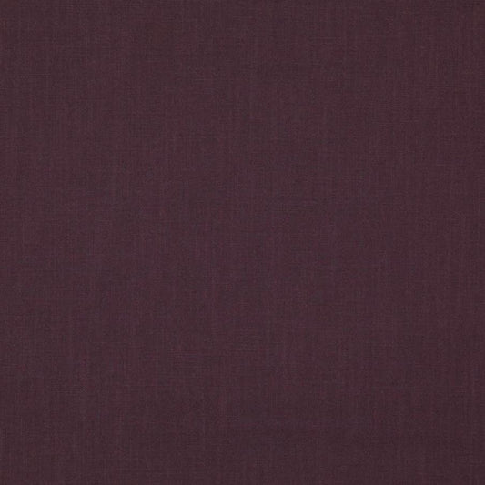Duck dark plum