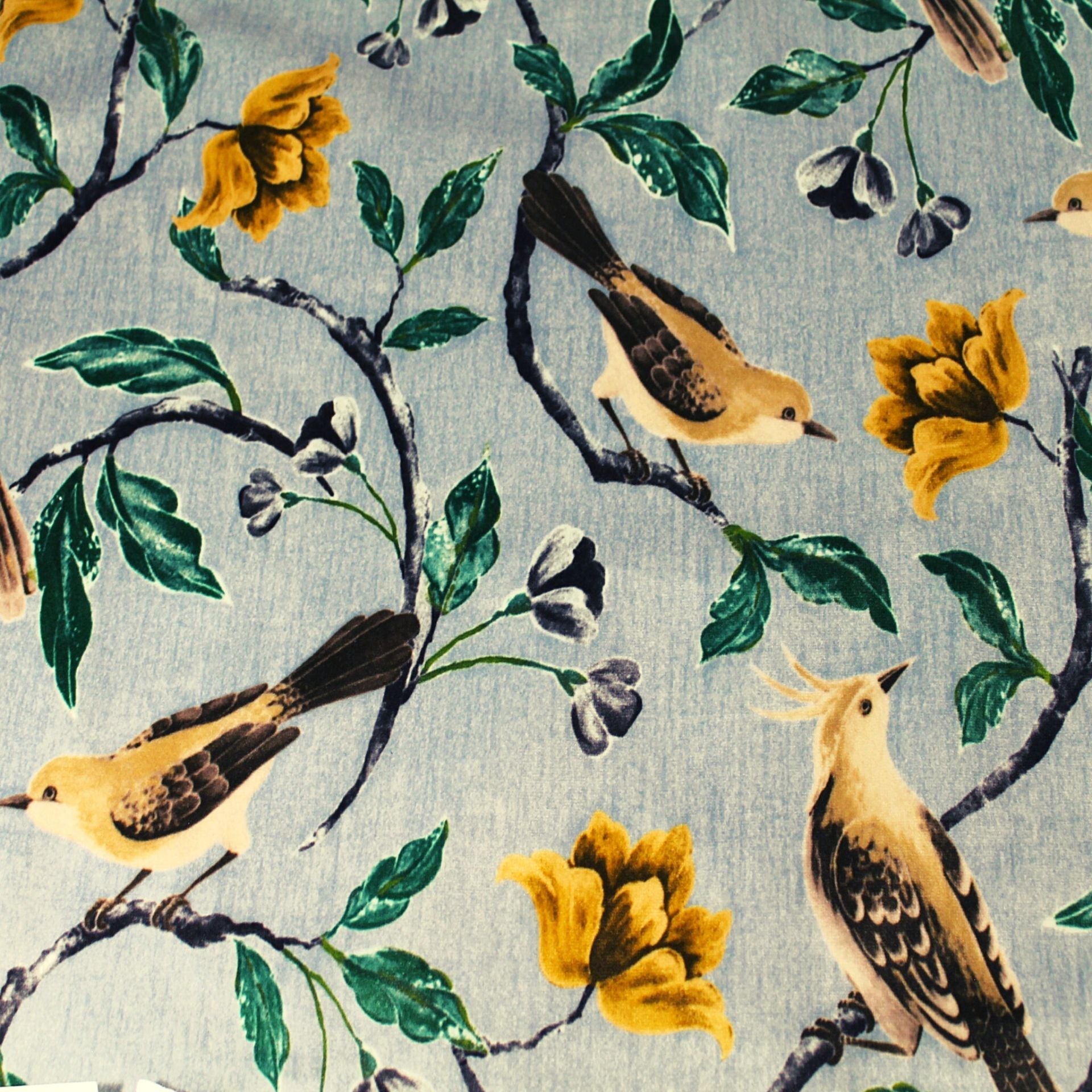 Everyone loves bird prints including us! This fun printed fabric for furniture upholstery has a brushed micro suede finish which is great for pets, especially cats.