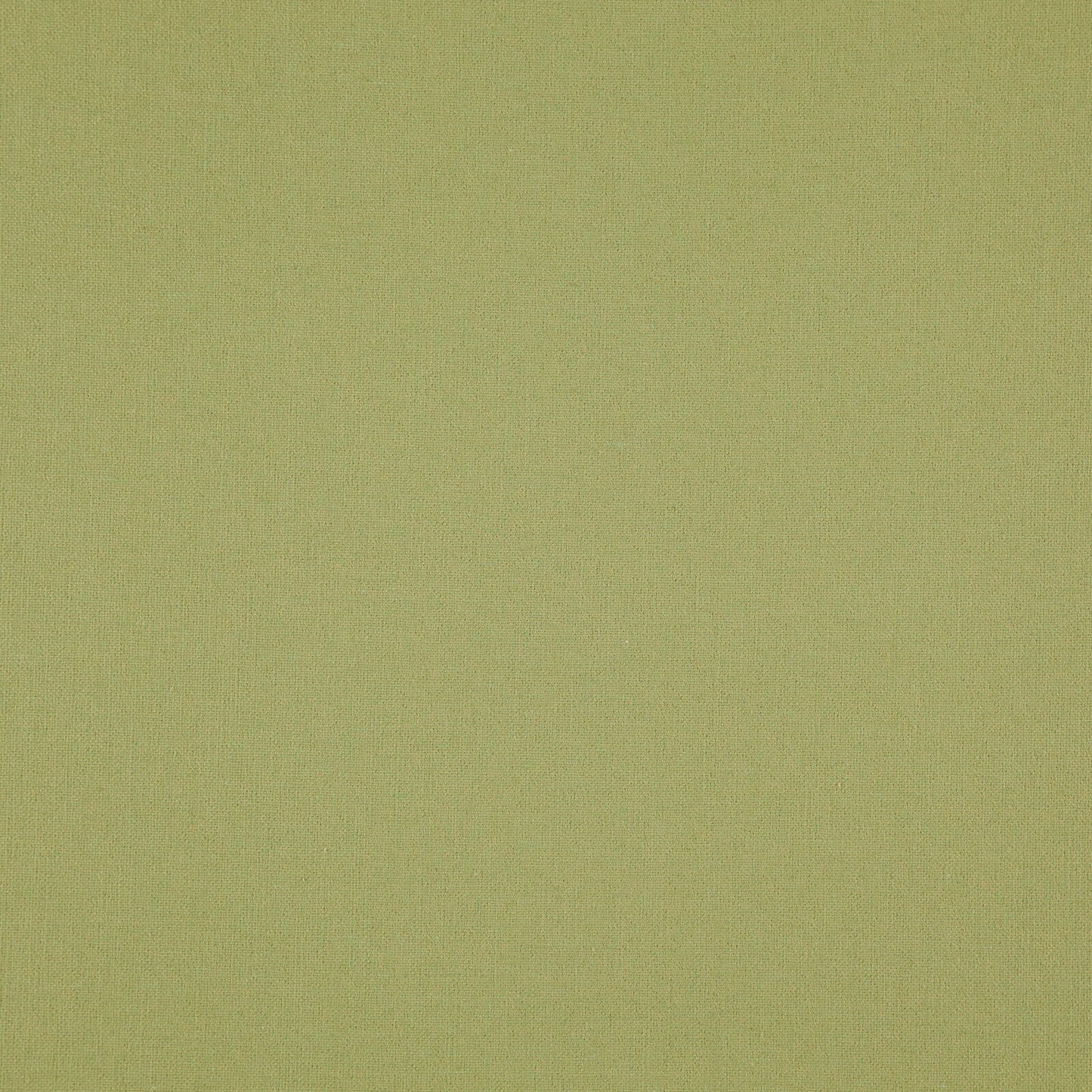 Spark Pale Chartreuse