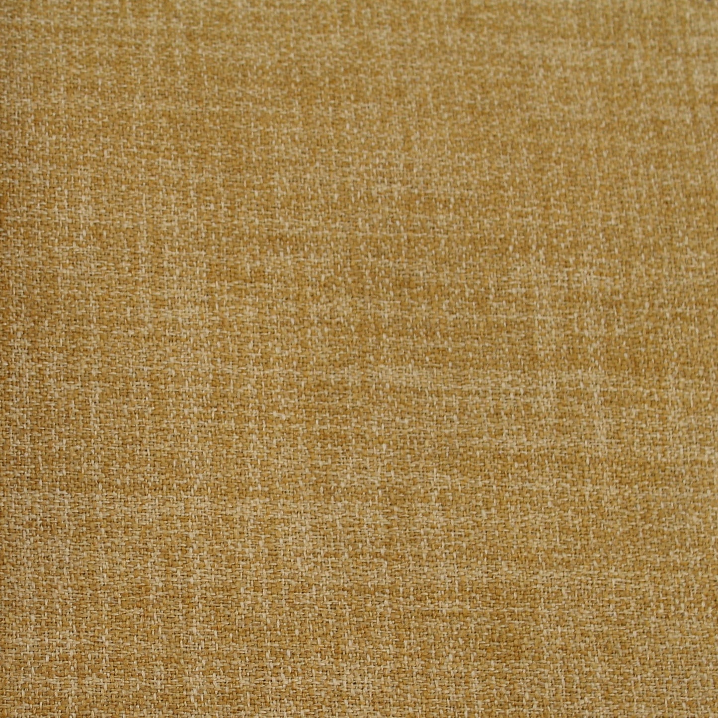 Winnepeg Marigold Yellow